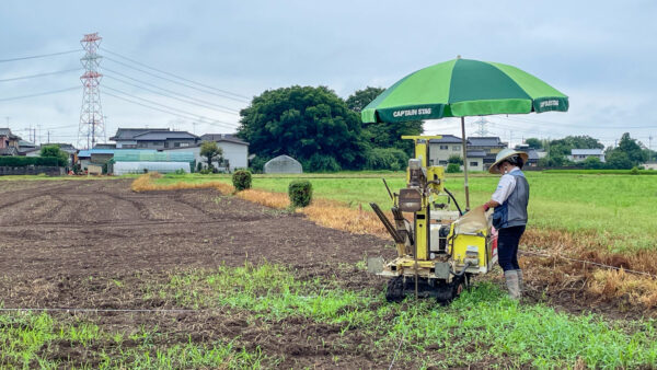 やってみないと分からない